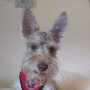 Meet your Posher, Elizabeth